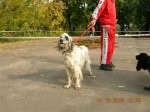 ВЫСТАВКИ - Выставка МГО Динамо 2008